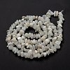 Natural Rainbow Moonstone Beads Strands X-G-A200-02-6