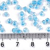 8/0 Glass Seed Beads X1-SEED-A014-3mm-133B-4