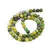 Natural Serpentine Beads Strands X-G-G829-06-4mm-5