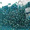 TOHO Round Seed Beads SEED-XTR11-0756-1
