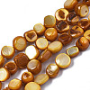 Natural Trochid Shell/Trochus Shell Beads Strands SHEL-S258-083-B09-1