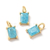 Real 18K Gold Plated Brass Micro Pave Cubic Zirconia Pendants X-KK-M243-08G-04-1
