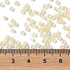 Glass Seed Beads SEED-S042-13A-02-4