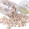 Natural Spiral Shell Beads SSHEL-PH0002-10-1