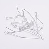 Iron Eye Pin EPS5.0cm-1