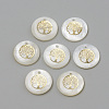 Freshwater Shell Pendants X-SHEL-Q010-011G-1