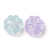 Transparent Frosted Acrylic Beads OACR-C013-31-2