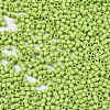 FGB 11/0 Grade A Glass Seed Beads X-SEED-S030-1013-2
