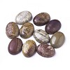 Natural Polychrome Jasper/Picasso Stone/Picasso Jasper Cabochons G-D860-A16-1