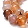 Natural Agate Beads Strands G-G175-A02-01-4