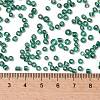 8/0 Glass Seed Beads SEED-A005-3mm-50A-5