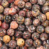 120Pcs Natural Leopard Skin Jasper Beads Strands G-PA0001-22A-1