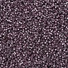 MIYUKI Delica Beads SEED-J020-DB0462-2