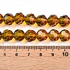 Baking Paint Transparent Glass Beads Strands DGLA-A035-T10mm-A05-5