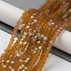 Transparent Glass Beads Strands X1-EGLA-A034-T4mm-MB02-2