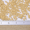 MIYUKI Delica Beads SEED-X0054-DB0230-4