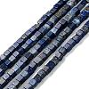Natural Lapis Lazuli Beads Strands G-F631-K05-1