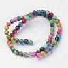 Natural Imperial Jasper Beads Strands G-I122-10mm-14-2