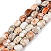 Natural Imperial Jasper Beads Strands X-G-N342-62K-1