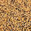 6/0 Inside Colours Transparent Glass Seed Beads X1-SEED-T007-07F-2