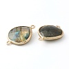 Labradorite Links Connectors G-B009-17G-2