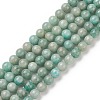 Natural Amazonite Beads Strands G-K068-03-8mm-01-1