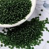 MIYUKI Round Rocailles Beads X-SEED-G008-RR0158F-1