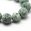 Frosted Natural Green Spot Jasper Round Bead Strands G-M064-10mm-10-2