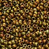 TOHO 8/0 Round Beads SEED-XTR08-0513F-2