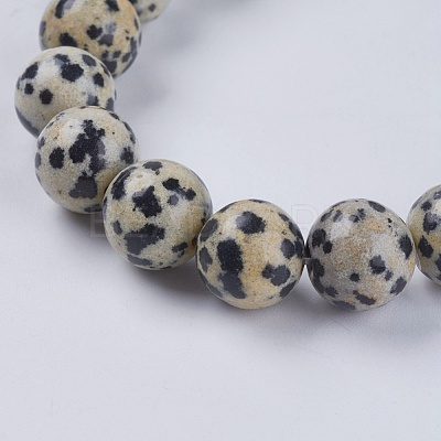 Natural Dalmation Jasper Beads Strands G-G515-10mm-06-1