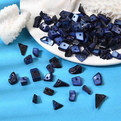 Dyed Natural Freshwater Shell Chips Beads SHEL-O001-12C-1