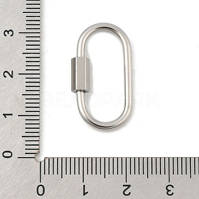Non-Tarnish 304 Stainless Steel Screw Carabiner Lock Charms STAS-H107-04D-P-1