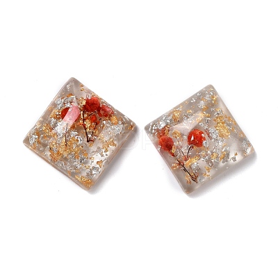 Transparent Resin Cabochons CRES-P019-02A-1