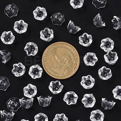 Transparent Acrylic Beads LS-X-PL548-1-1