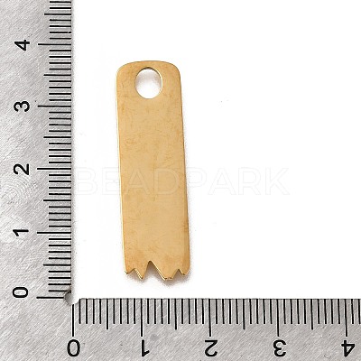 304 Stainless Steel Pendants STAS-F318-09B-G-1