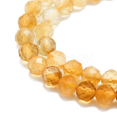 Heated Natural Citrine Beads Strands G-P457-A03-22-1