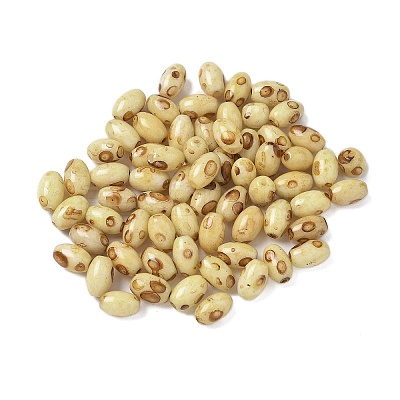 60Pcs 10G Baking Paint Picasso Glass Seed Beads GLAA-V001-06E-1