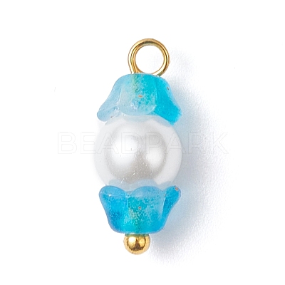 Baking Paint Pearlized Glass Imitation Pearl Pendants PALLOY-JF04300-02-1