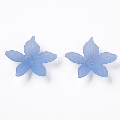 Transparent Acrylic Beads MACR-S373-127-D04-1