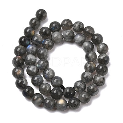 Natural Labradorite Beads Strands G-J120-28-8mm-A-1