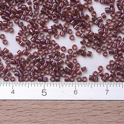 MIYUKI Delica Beads Small X-SEED-J020-DBS0129-1
