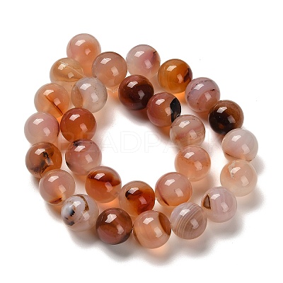 Natural Agate Beads Strands G-G175-A02-01-1