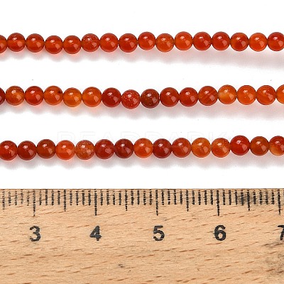 Natural Carnelian Beads Strands G-Z116-A22-3mm-1