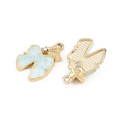 Alloy & Resin & Rhinestone Pendants RE-CBA4E99-02G-C-1