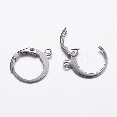 Tarnish Resistant 304 Stainless Steel Hoop Earrings STAS-K146-038-14.5mm-1