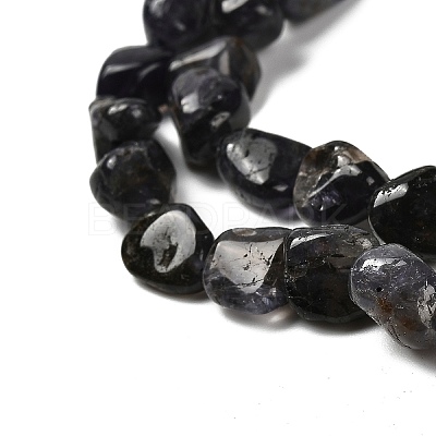Natural Iolite Beads Strands G-P497-01E-35-1