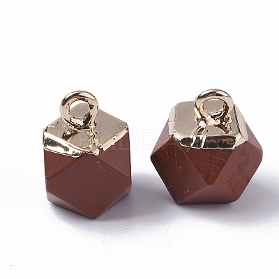 Natural Red Jasper Charms G-S359-015C-1