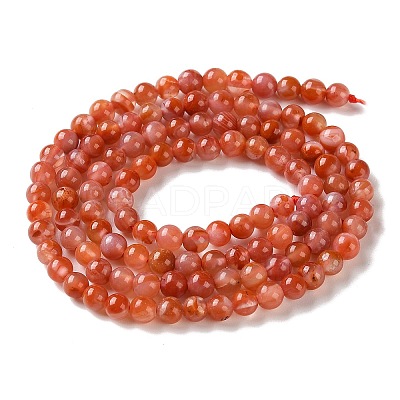 Natural South Red Agate Beads Strands GG-CBA6824-A01-01-1