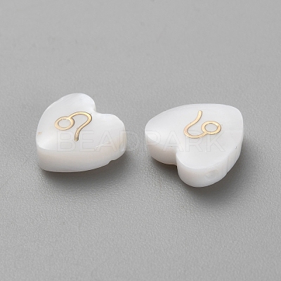 5Pcs Natural White Shell Beads LS-BSHE-TAC0004-02G-1