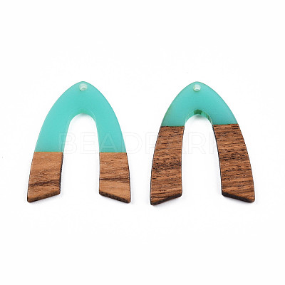 Transparent Resin & Walnut Wood Pendants RESI-N025-029-C04-1